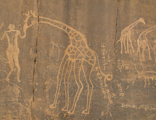 Kamień naturalny ? niemy świadek historii